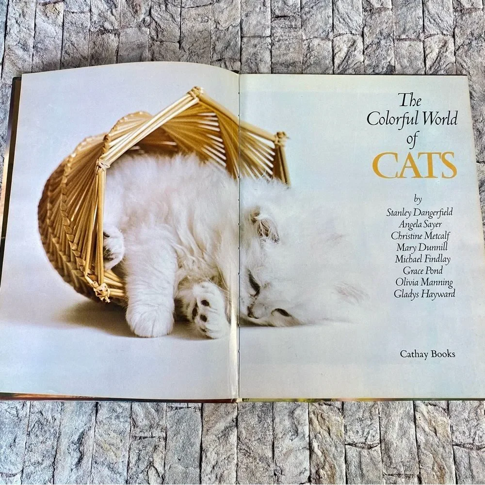 The Colorful World of Cats Hardcover Vintage 1975